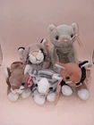 VTG TY BEANIE CATS LOT (5) RETIRED 1996-1998 Chip Scat Pounce Prance Canyon TAGS