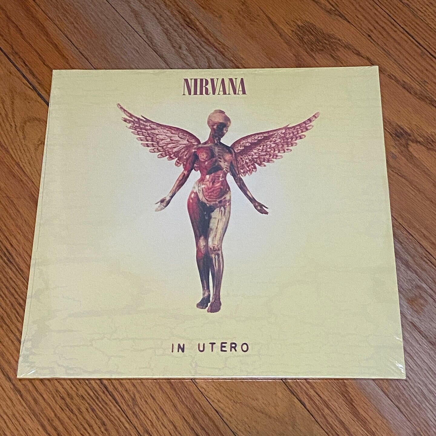 Nirvana - In Utero Vinyl Record 180 Gram NEW SEALED LP Kurt Cobain Dave Grohl