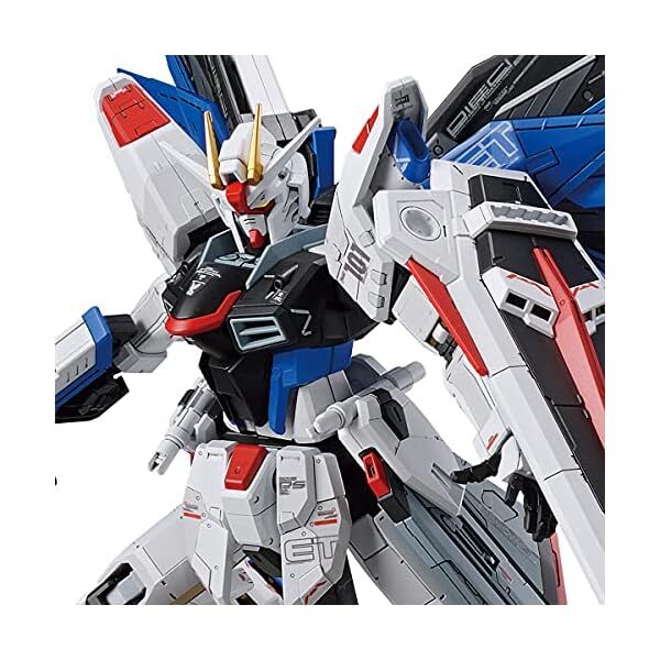 FULL MECHANICS 1/100 GUNDAM BASE LIMITED ZGMF-X10A FREEDOM GUNDAM Ver.GCP Ki JP