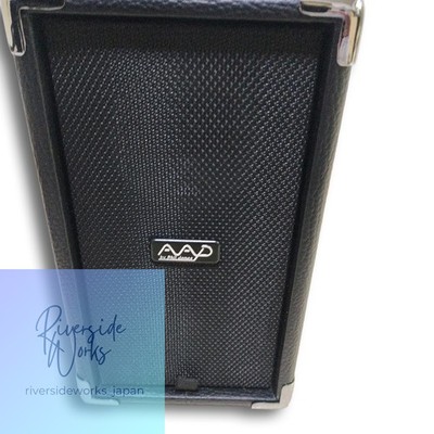 Phil Jones AAD CUB AG-100 Acoustic Guitar Amp 100W Excellent