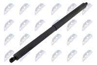 Nty Gasfeder, Koffer-/Laderaum AE-CH-056 FüR Cadillac