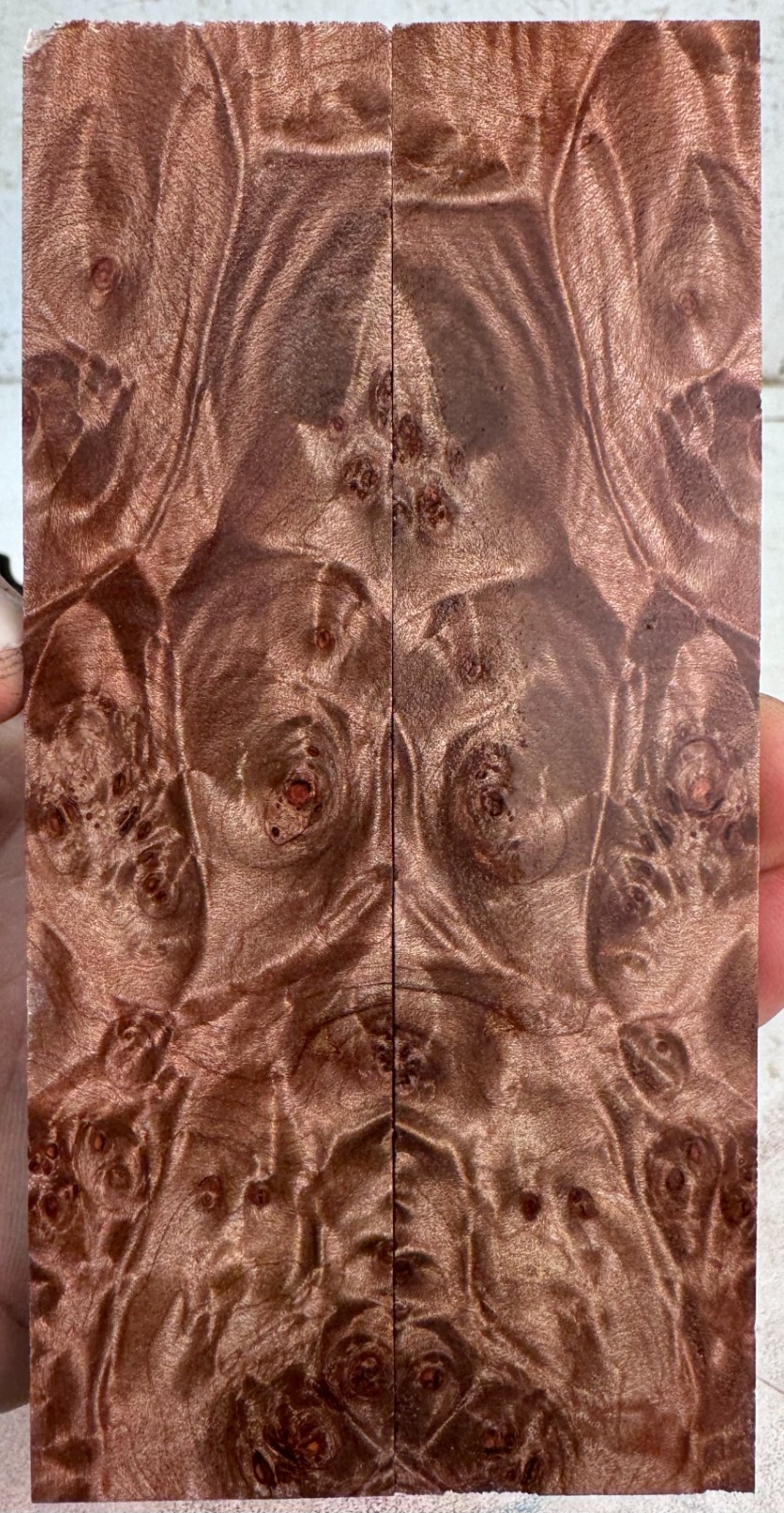 Picture 1