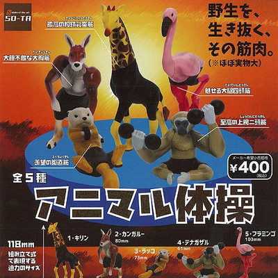 Animal Gymnastics complete set 5 Capsule Toy Gacha NEW