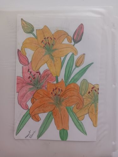 Orginal Spring Flower Botanical Art Vintage Sketches Pencil & Watercolors