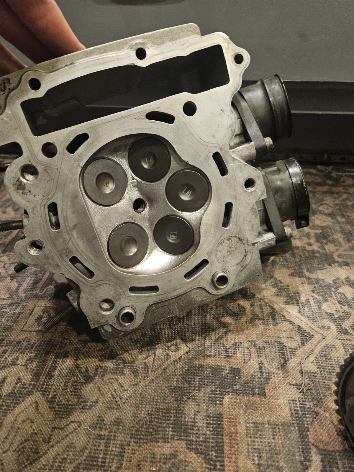 REBUILT STAGE 2 HEAD 0105 YAMAHA RAPTOR 660R OEM ENGINE TOP END