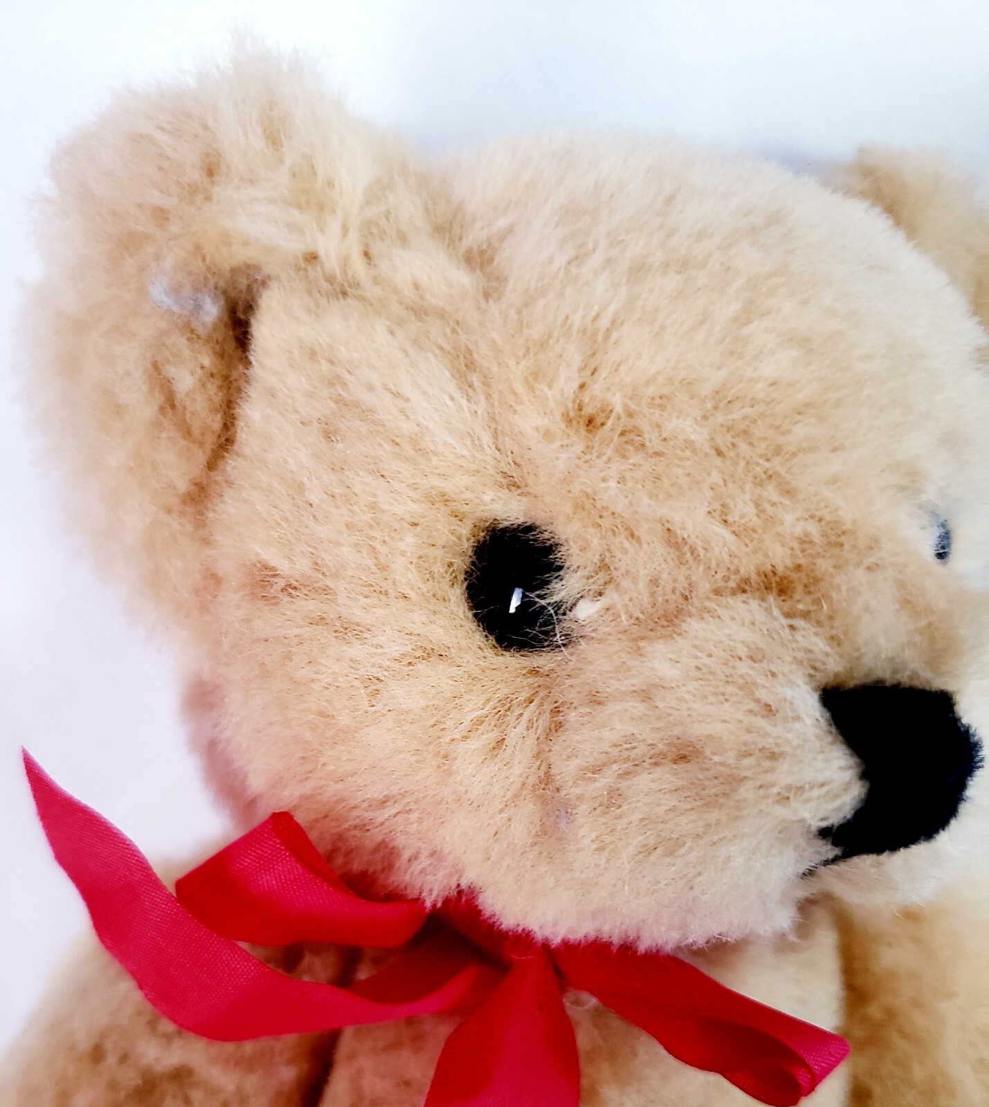 Exploring The Cannon Falls Mystery