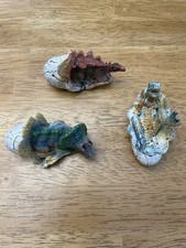 Dinosaurs:  Allosaurus, Stegosaurus & Triceratops Hatching From Eggs, AAA Brand