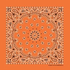 Orange Paisley 22x22 Bandanna