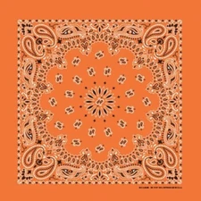 Orange Paisley 22x22 Bandanna