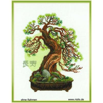 Kit Punto Croce Riolis “Diretto Alle Stelle” – Motivo Già Stampato Su Tessuto, 24 X 30 Cm, Per Principianti Ed Esperti - copertina