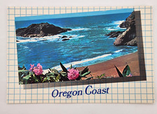 Oregon Coast, Wild Rhododendrons and the pacific ocean Vintage postcard unposted