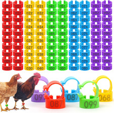 100 Pcs 16mm Numbered Chicken Leg Bands, Colorful Poultry Leg Bands  Rings, ...