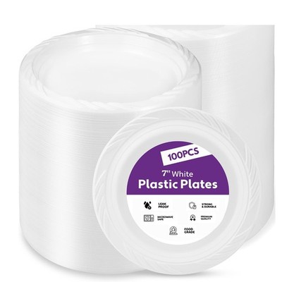 100 Disposable Plates 7