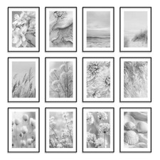 Black And White Floral Wall Art - Botanical Prints for Modern Living Room