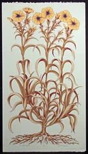 Jules Roch "Sweet Williams" Hand Signed  Art Serigraph on Paper Make an Offer