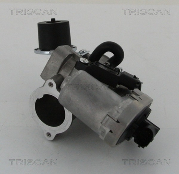 AGR Ventil Triscan 8813 16202 FüR Jaguar X400 Mondeo Type Ford 3 B4Y B5Y Turnier-image