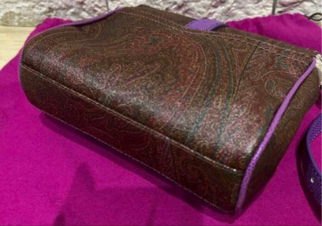 ETRO Python Snake Pattern Mini Shoulder Bag Brown… - image 9