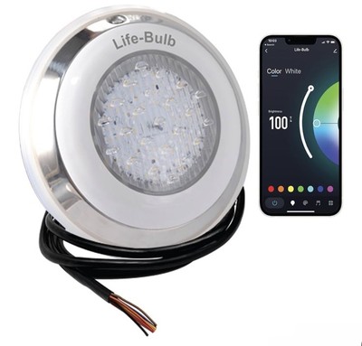 Smart LED Spa Lights, Color Changing Spa Lights with Remote, LED Spa Light Bulb