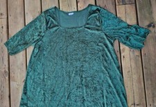 Princess Fiona Shrek Size 1x-2x Halloween Costume Dress Crushed Velvet Green