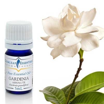 Gumleaf Essentials - Gardenia Absolute - Essential Oil - 5 mL