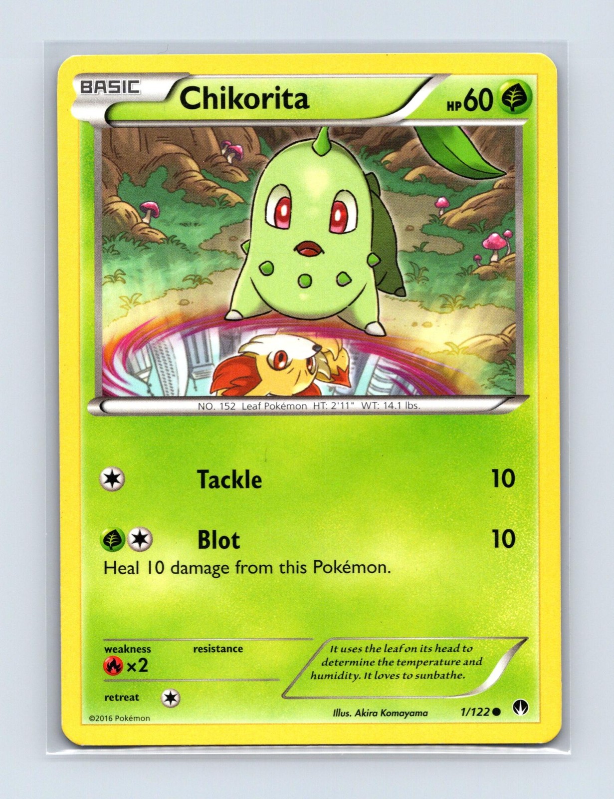 Chikorita 1/122 Common BREAKpoint Pokemon Lightly Played
