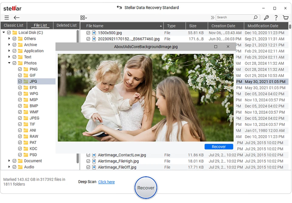 Stellar Data Recovery Standard for Windows | Email Delivery | Digital Download - Image 4 of 4