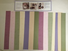 Creative Memories Great Length Strips Mounting Paper - Holly Days/Flower Bud