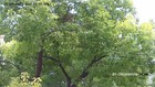Bild 8 von 13