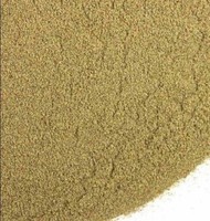 Horsetail Herb Powder (shavegrass) >>>> 2 Ounces Horsetail Herb Powder (shavegrass) >>>> 2 Ounces