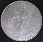 2002 American Silver Eagle 1 Troy Oz .999 Fine Silver mdp1 Encapsulated