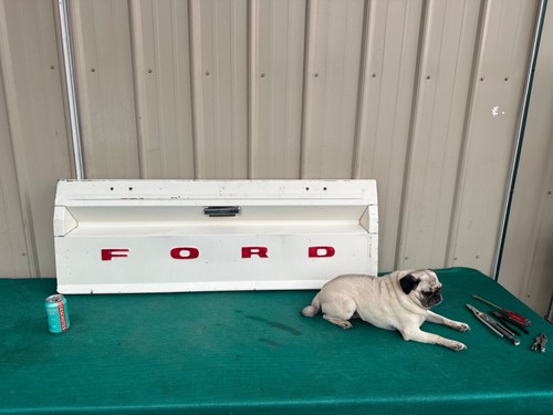 1983-92 Ford Ranger Truck Tailgate White - Great for Use or Wall Display
