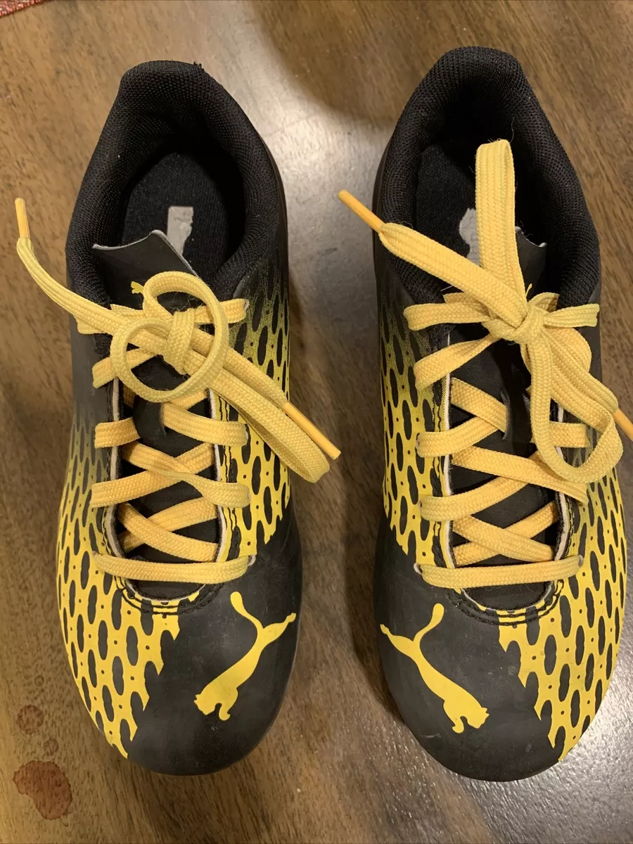 Puma spirit online iii