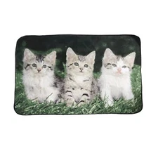 Three Kittens Plush Lap Blanket Throw Afghan 45" X 70" Fleece Cat