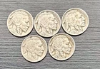 Lot Of 5 1926 P Buffalo Nickel Philadelphia Mint Full Date Horn And Tail Visible