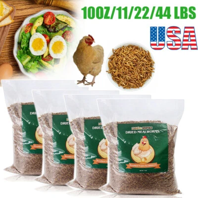 LUCKYQ Bulk Dried Mealworms for Wild Blue Birds Hen Reptile Treats Non-GMO 11 44LBS LOT