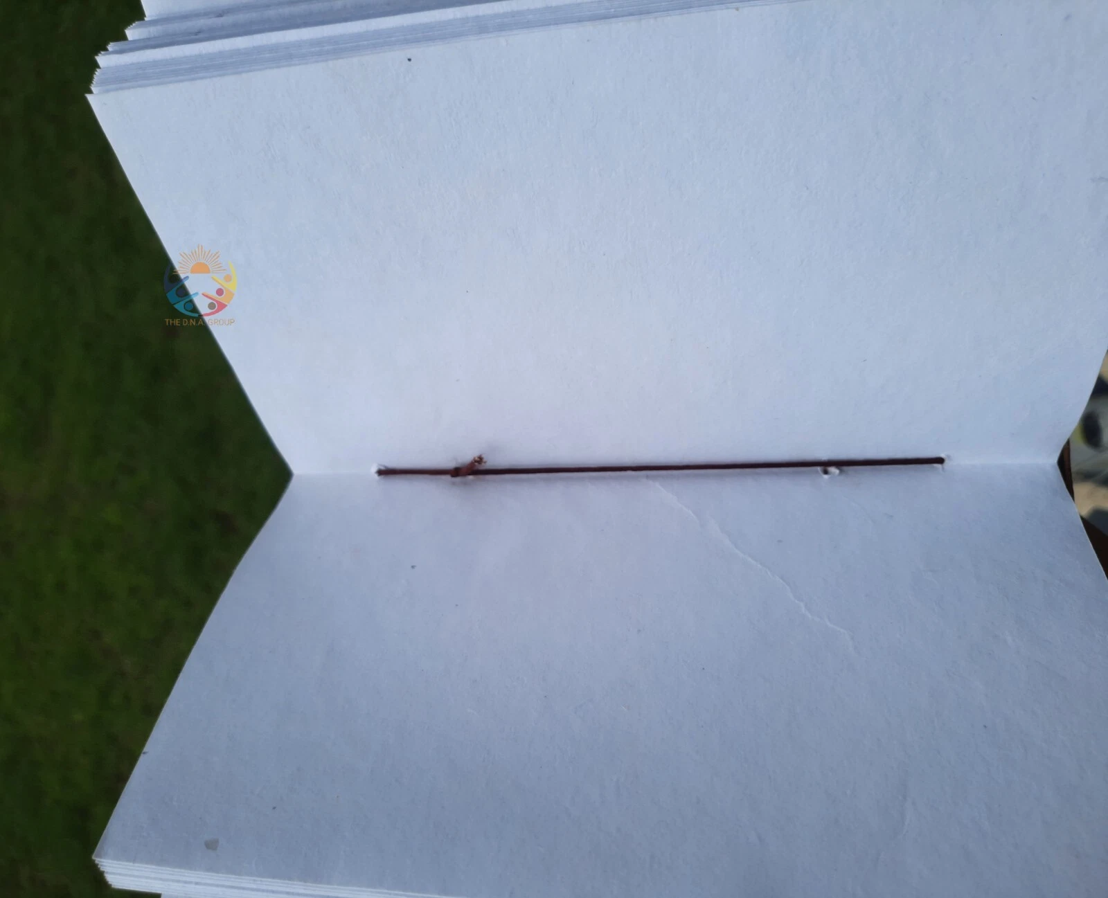 Picture 5 of 8
