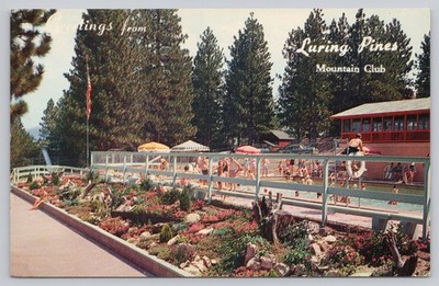 Vintage Luring Pines Mountain Club Postcard Swimming Pool Running Springs CA