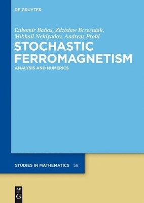Lubomir Banas Zdzislaw Brzezniak Mikhail Neklyudov An Stochastic Ferr (Hardback)