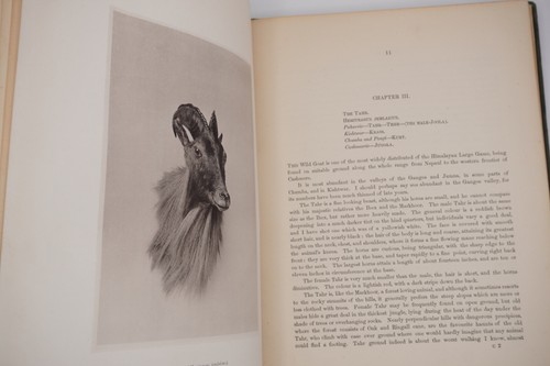 1876 Large Game Shooting in Thibet and North West by Alexander A Kinloch 1st Ed. - Picture 12 of 22