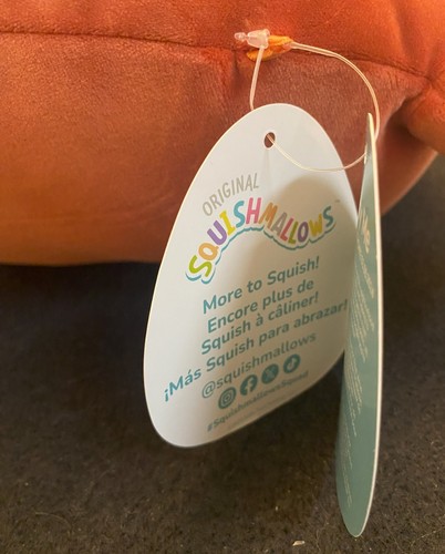 Squishmallows Missy Me The Teriyaki Drumstick Turkey Chicken Leg 14" Plush - Picture 8 of 12