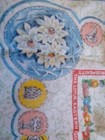 Bild 9 von 9