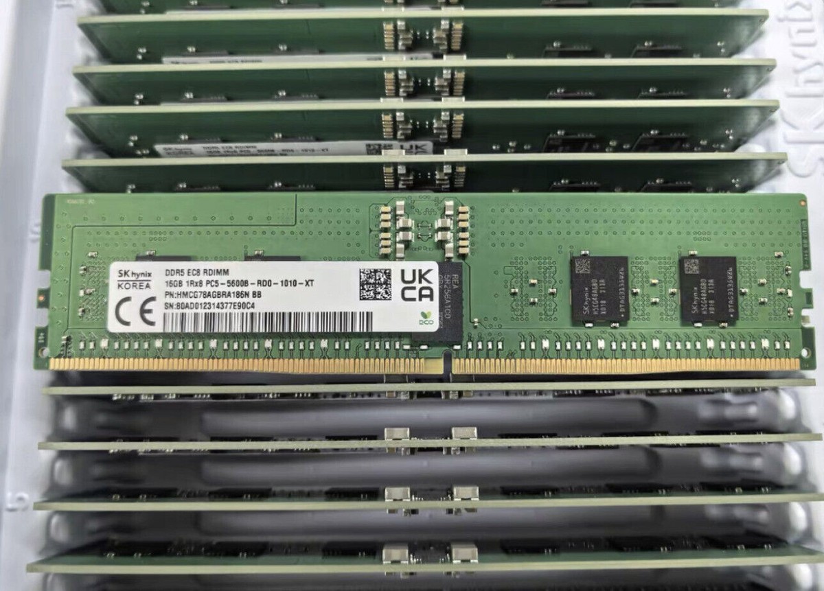Sk Hynix 16GB 5600MHz REG ECC RAM DDR5 EC8 1Rx8 HMCG78AGBRA186N