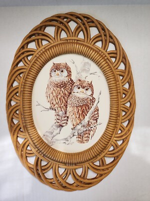 Vintage Owl wall decor plastic wicker boho style oval frame Burwood MCM retro
