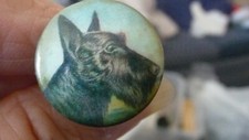 911 vtg 2'' L Tack w celluloid DOG FACE Scottie