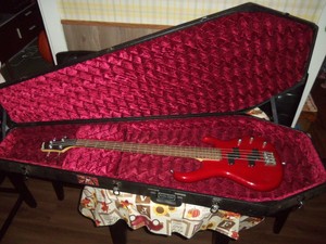 coffin guitar