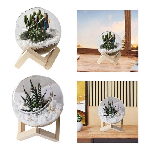 Glass Planters Flower Pot Clear Fashion Plant Decoration Home Decor Head Planter - Bild 1 von 13