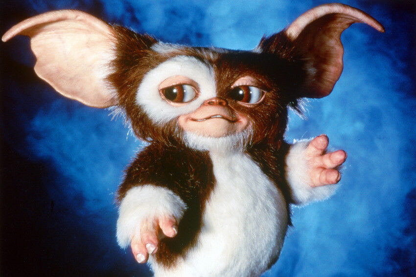 78595 GREMLINS CLASSIC POSE OF GREMLIN Wall Print Poster US | eBay