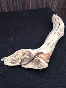 Treibholz Ast Stamm 54 0 Cm Dekoration Garten Basteln Holz Lampe Skulptur Ebay