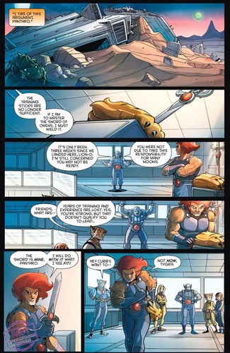 THUNDERCATS #1 INHYUK LEE VIRGIN VARIANT COVER NM DYNAMITE LIMITED 700 COPIES - 第 15/16 張圖片