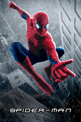 2002 Spiderman Movie Poster 11X17 Peter Parker Tobey McGuire Goblin Marvel   